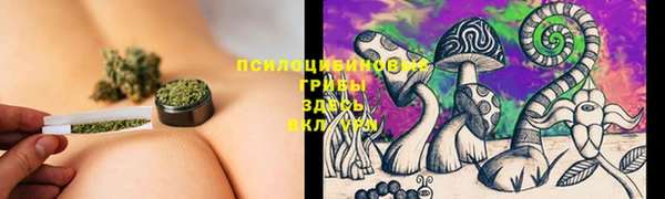 кокс Абаза