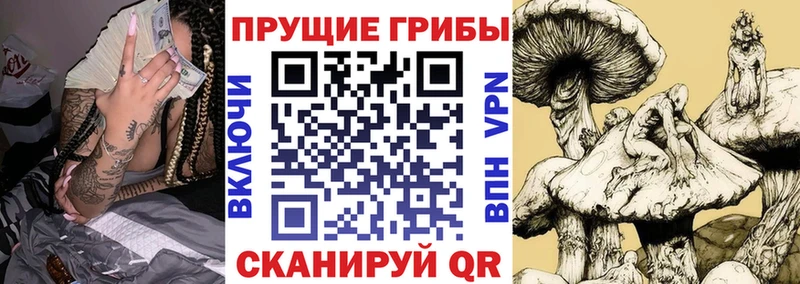 Галлюциногенные грибы мухоморы  Гусиноозёрск 